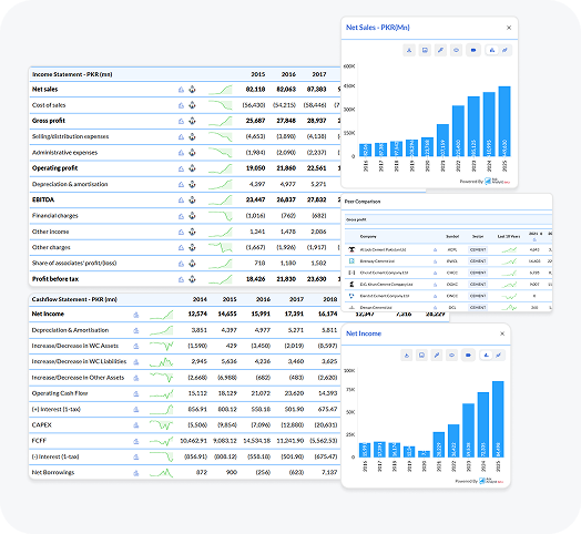 financialstatement